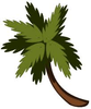Palm Tree Image